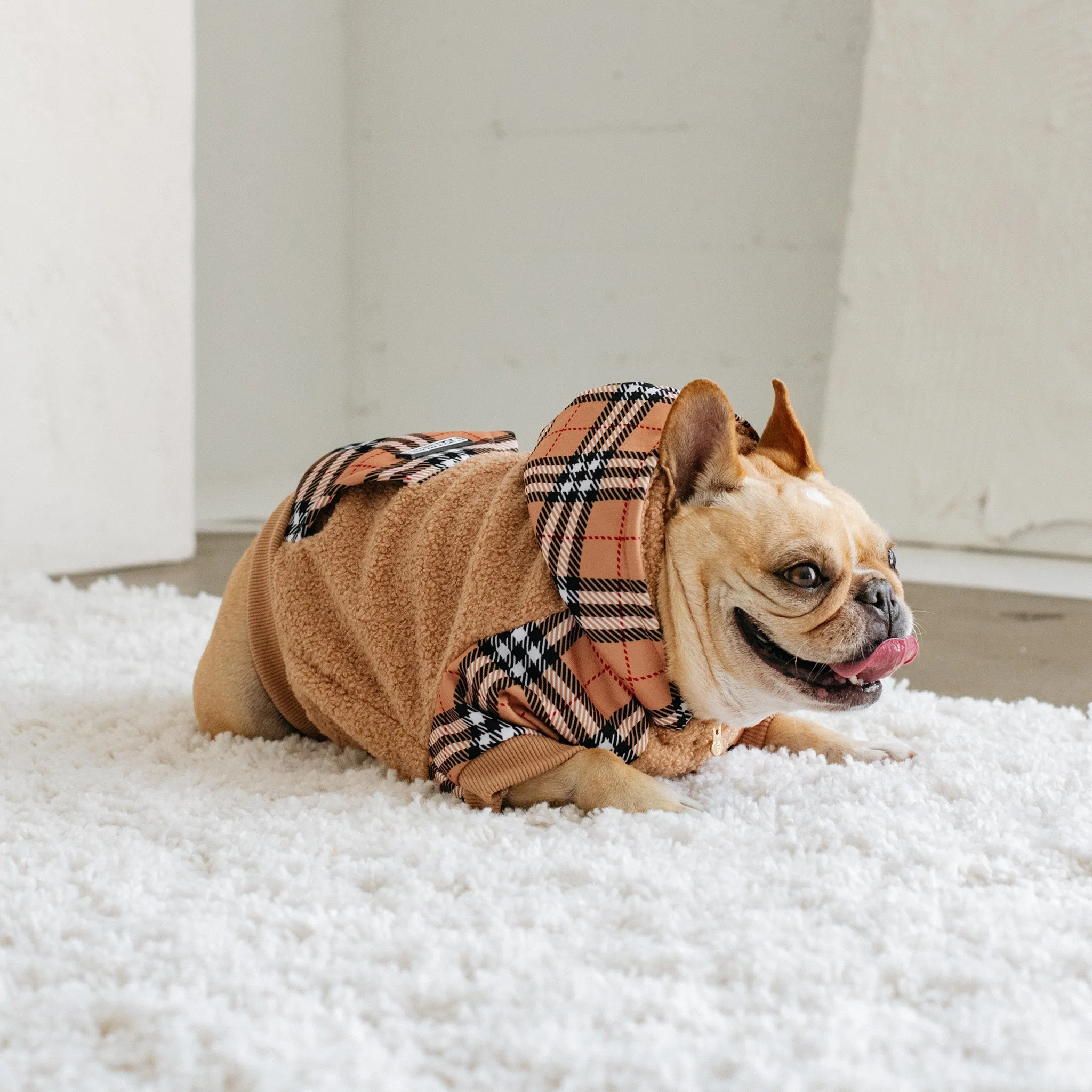 Frenchie Dog Hoodie - Tan Tartan