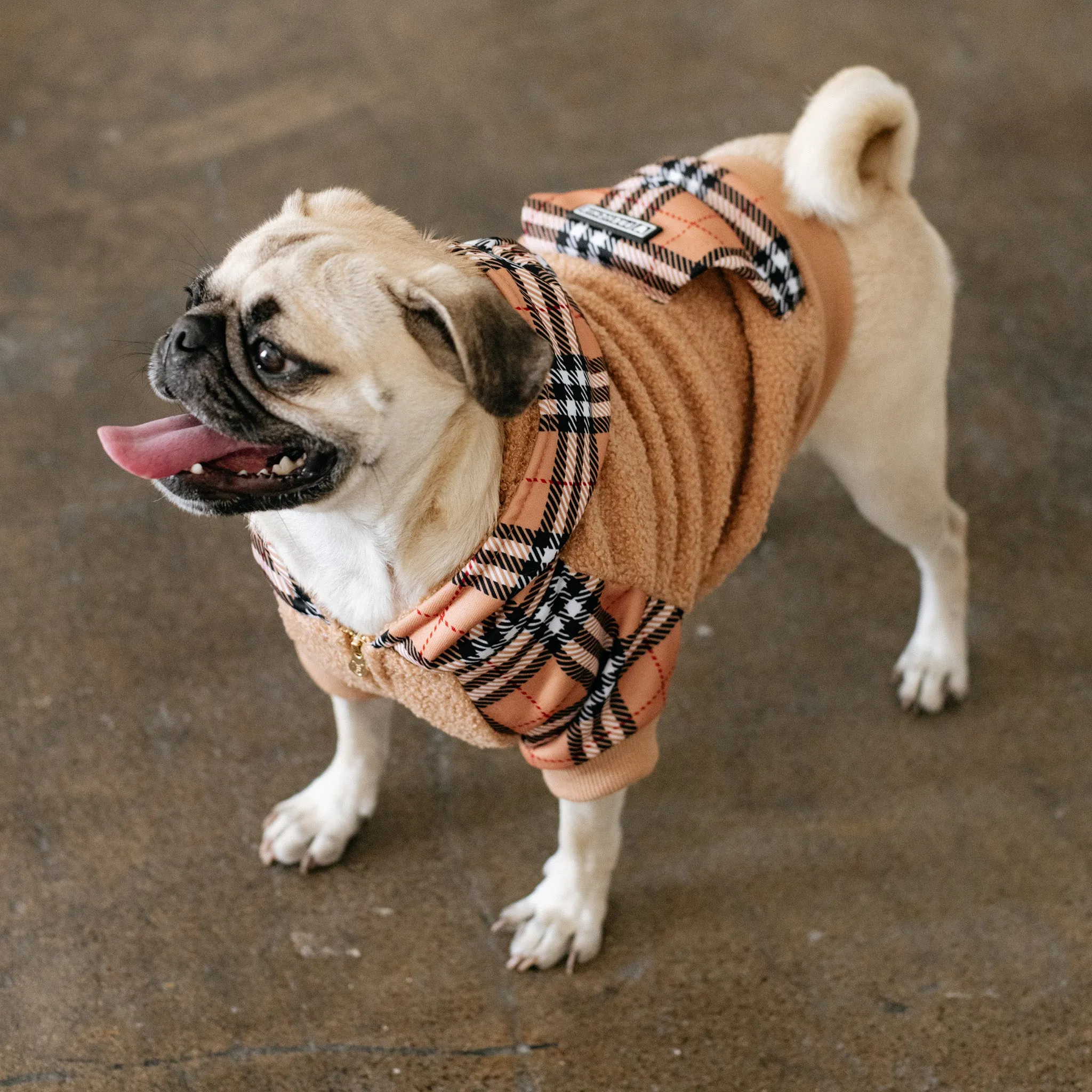 Frenchie Dog Hoodie - Tan Tartan